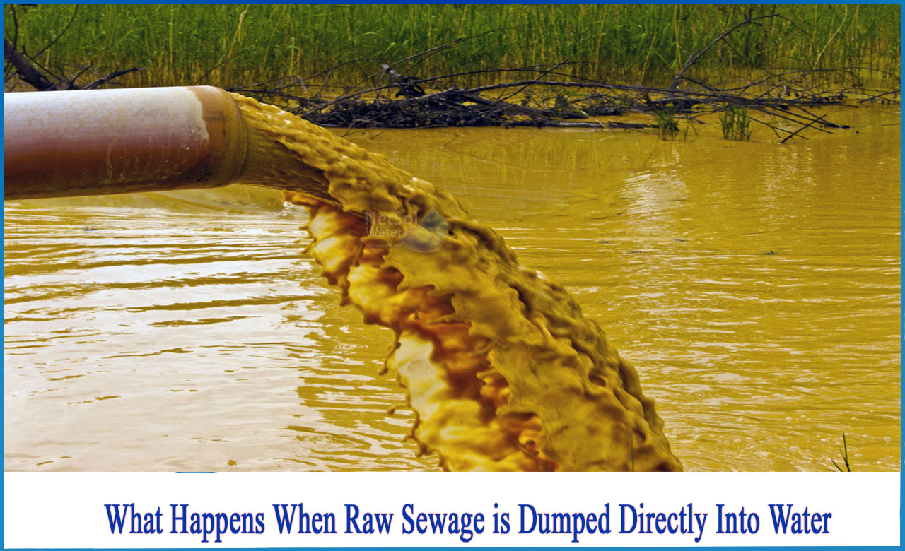 Richmond Dumps Millions of Gallons of Raw Sewage into James River